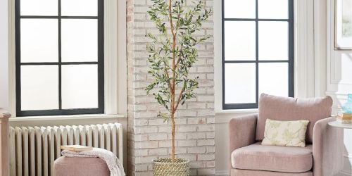 This Artificial Olive Tree is 7′ Tall & Only $84.99 Shipped (Regularly $120)