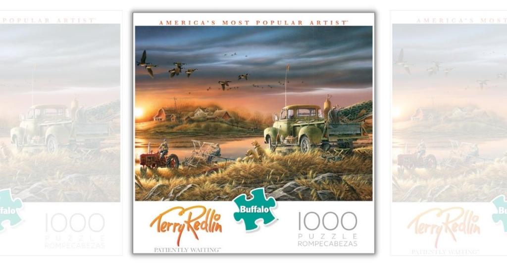 Buffalo Games Patiently Waiting 1000-Piece Jigsaw Puzzle
