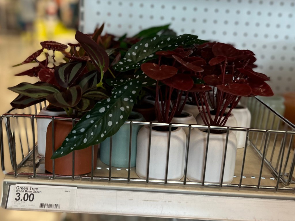 mini faux plants on store shelf