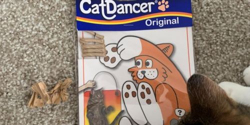 Cat Dancer Toy Just $1.67 Shipped on Amazon (Fun Way to Entertain Your Cat)