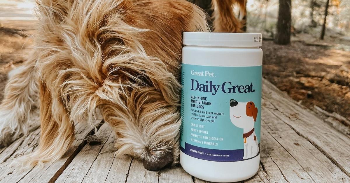 dog with Great Pet Daily Great Multivitamins for Dogs 120-Count