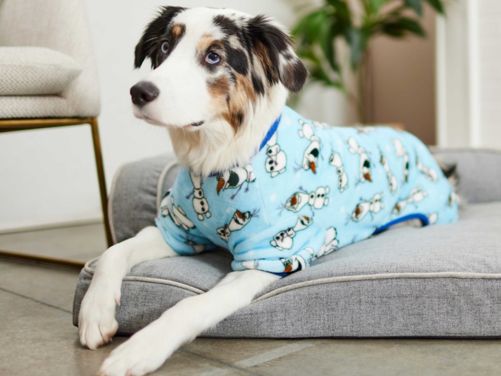dog wearing Disney Frozen Olaf print pajamas