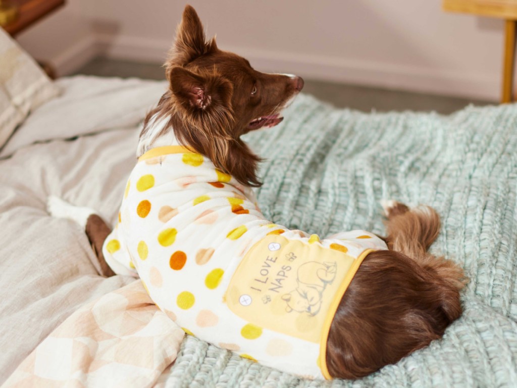 dog wearing Winnie The Pooh pajamas