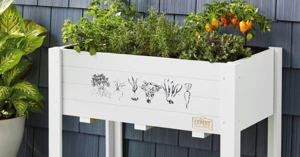 white raised garden bed with plants