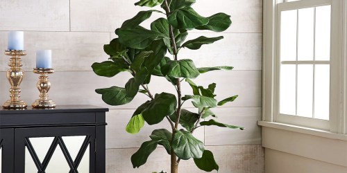 Faux 5′ Fiddle Leaf Tree Only $27.56 Shipped for New QVC Customers (Regularly $74)