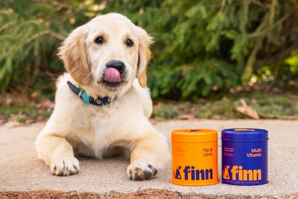 puppy next to finn dog supplements