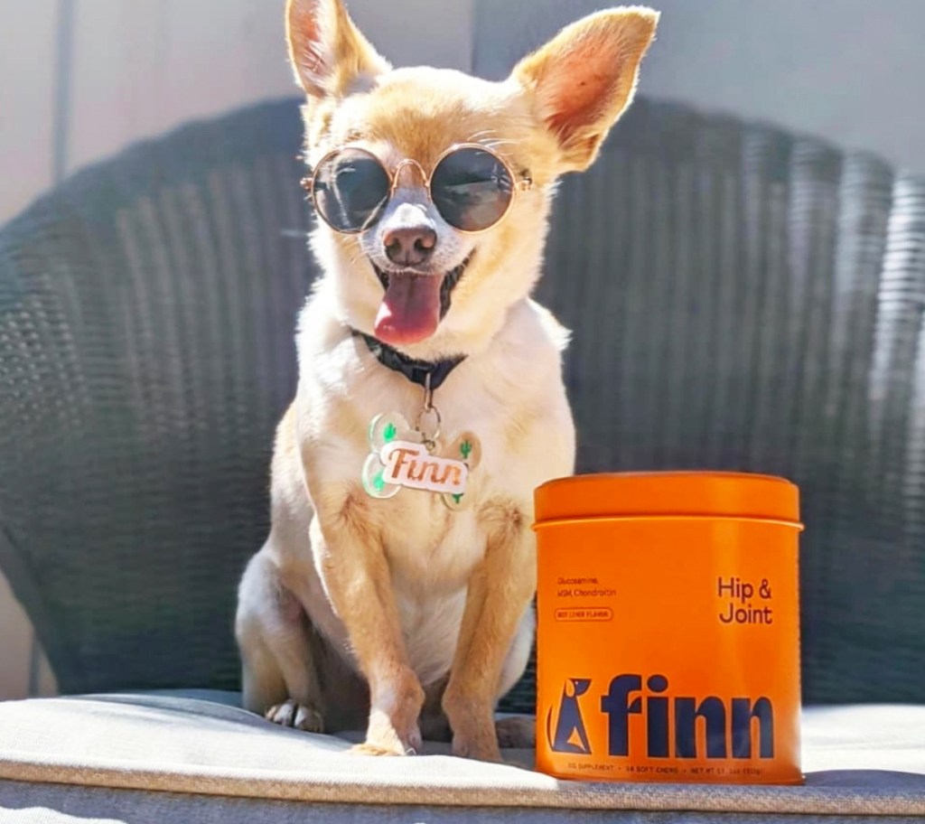 dog wearing sunglasses next to container of finn supplements