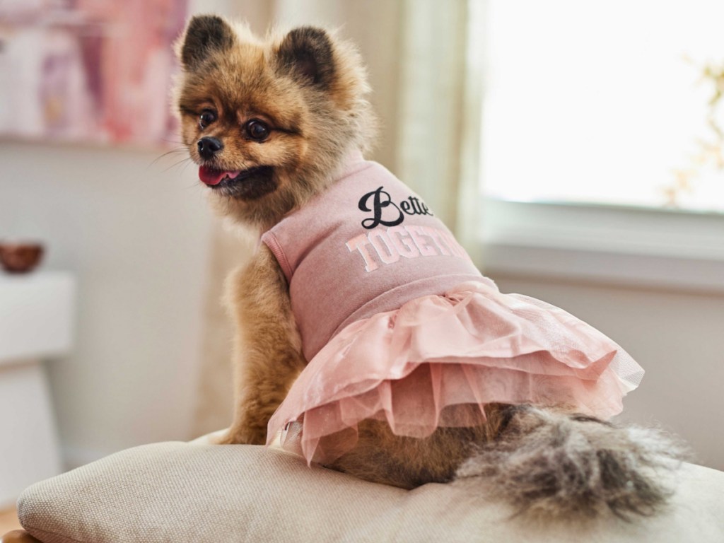 dog wearing pink tutu dress