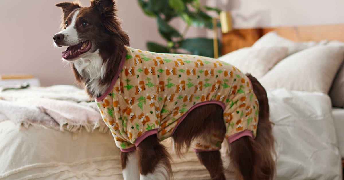 dog wearing fox print pajamas