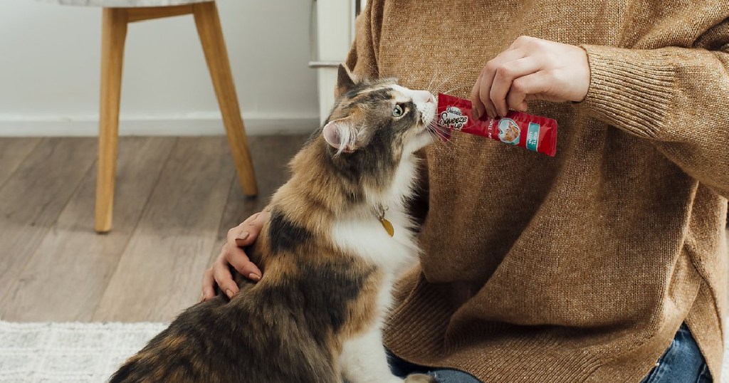 woman feeding cat a cat treat in living room