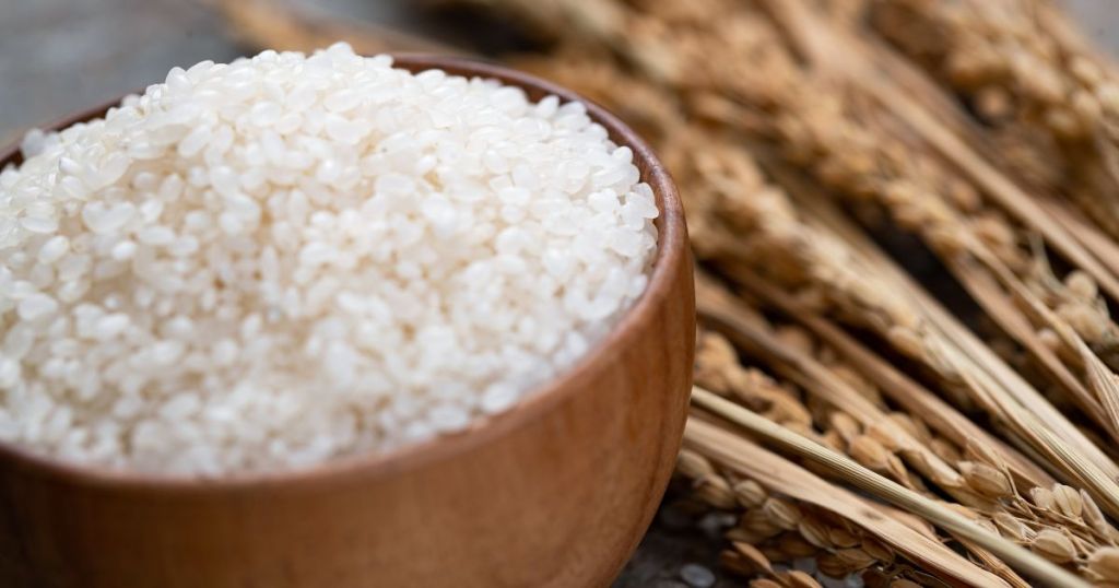 Nishiki Premium Medium Grain Rice 10 lb bag rice shown in bowl with wheat