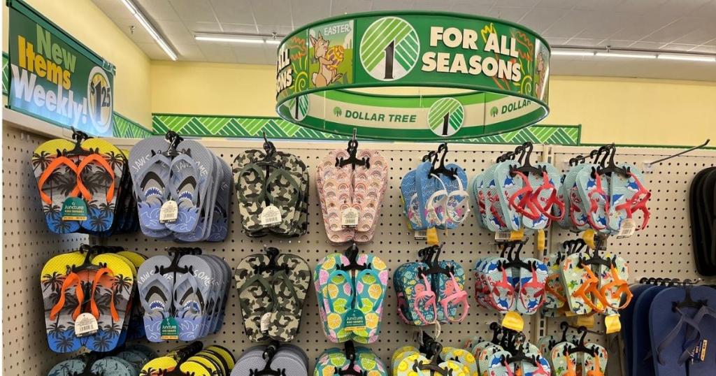 Kids and Adults Summer-Inspired Rubber Flip Flops