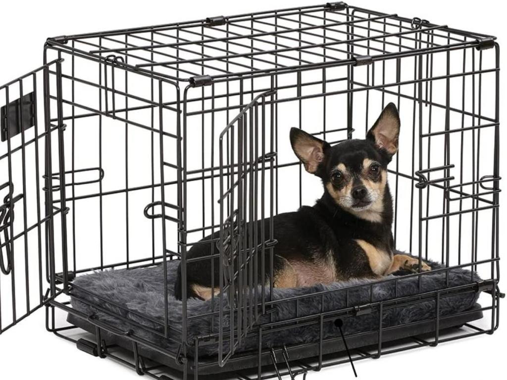 dog sitting in crate with MidWest 18" Bolster Pet Bed