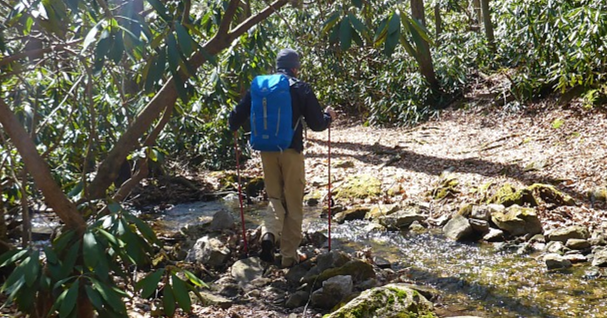 Guy hiking in woods wearing blue Ozark Trail Backpack