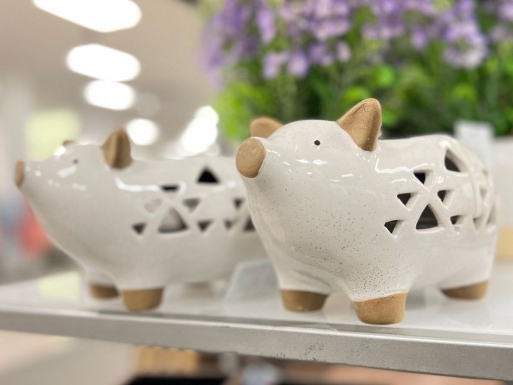 Sonoma Goods for LED pig