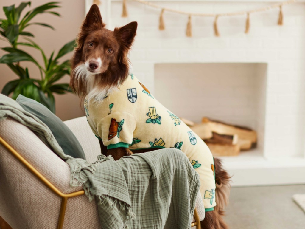 dog wearing Grogu print pajamas