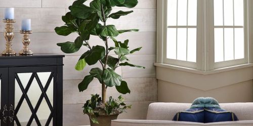 Artificial 5′ Fiddle Leaf Tree Only $42.50 Shipped on QVC.com (Regularly $74)