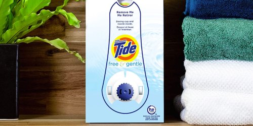 Tide Free & Gentle Laundry Detergent Eco-Box Only $12.54 Shipped on Amazon (Regularly $19)