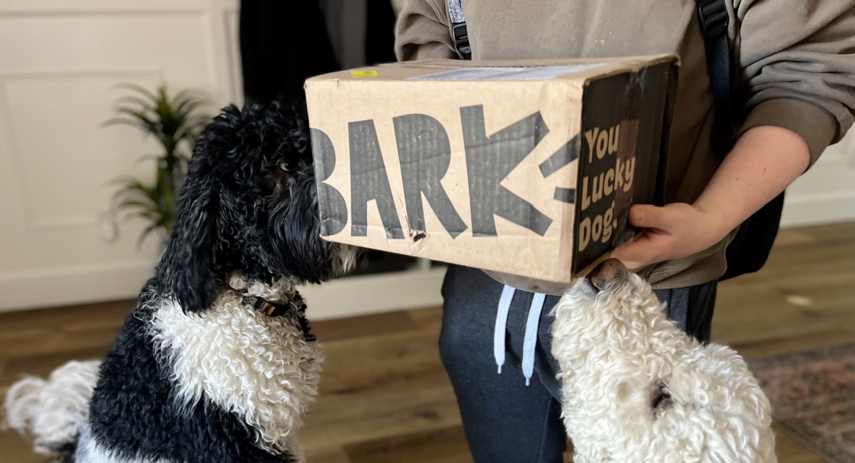 Hottest BarkBox Promo Code DOUBLE Your Box of Goodies!