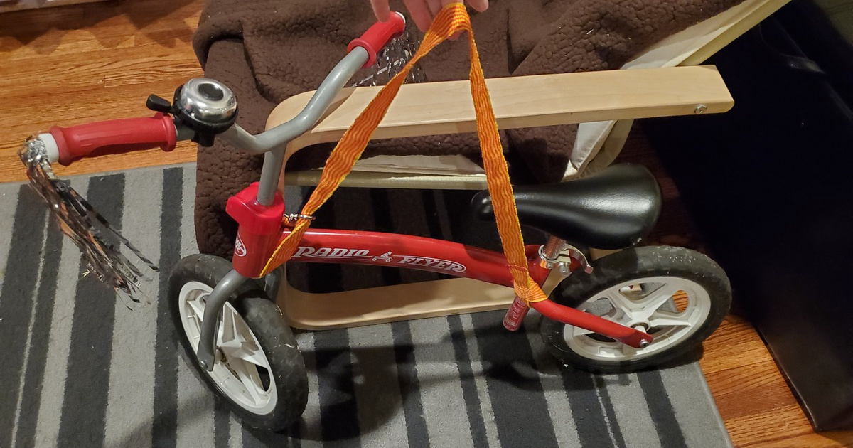 This Reader Created Her Own Bike Carrier Out of a Household Item