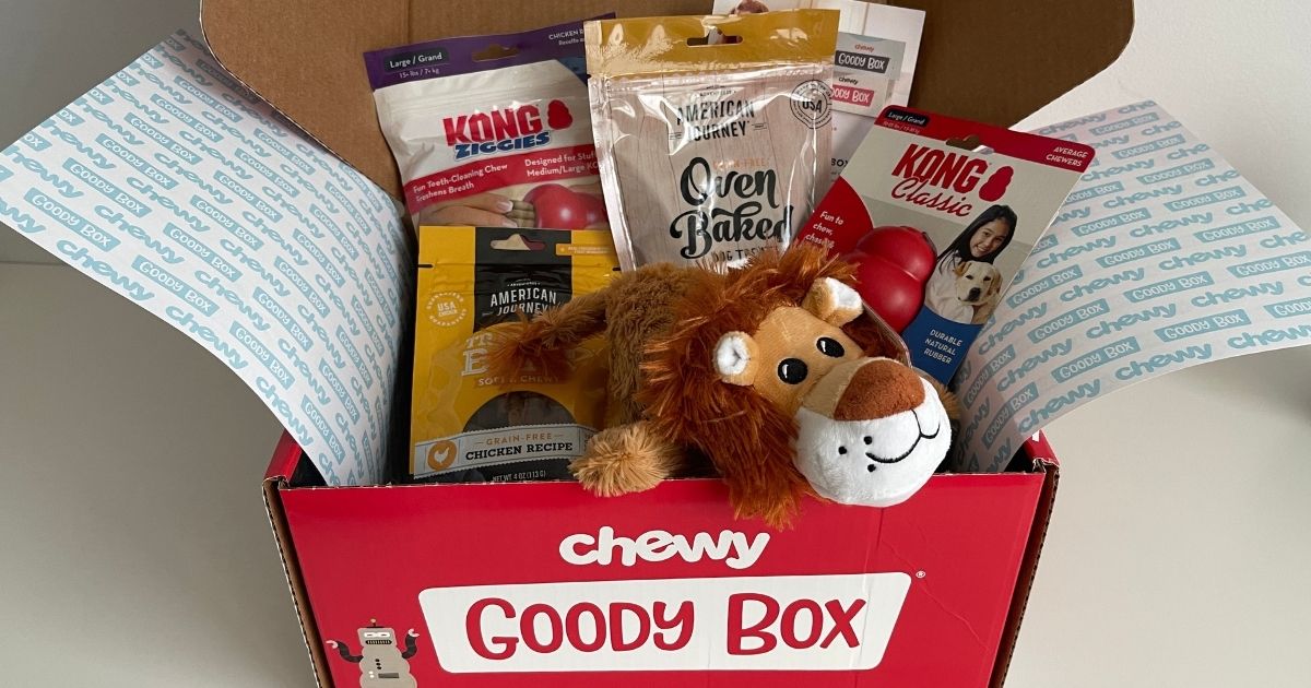 Goody Box x KONG Puppy Toys & Treats