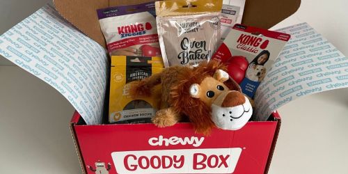 Chewy Dog Goody Box from $25.99 (Regularly $38) | Includes KONG Toys, Treats & More