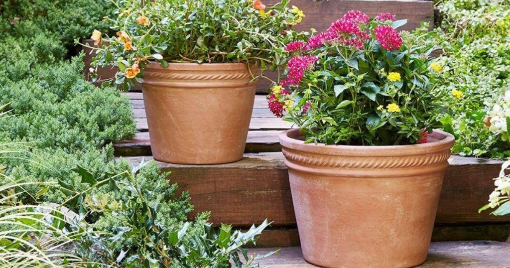 2 clay pots with flowers on steps