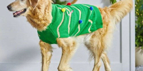 40% Off Pet Clothes on Chewy.com | Coats, Sweaters, & Hoodies from $3 (Includes Cute Holiday Designs)