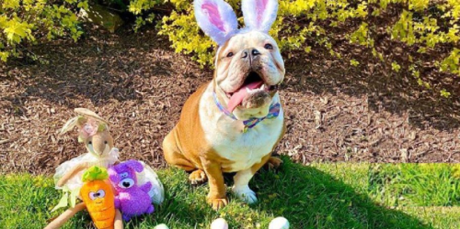 FREE PetSmart Easter Event on 4/4 (First 50 People Score $20 Coupon!)