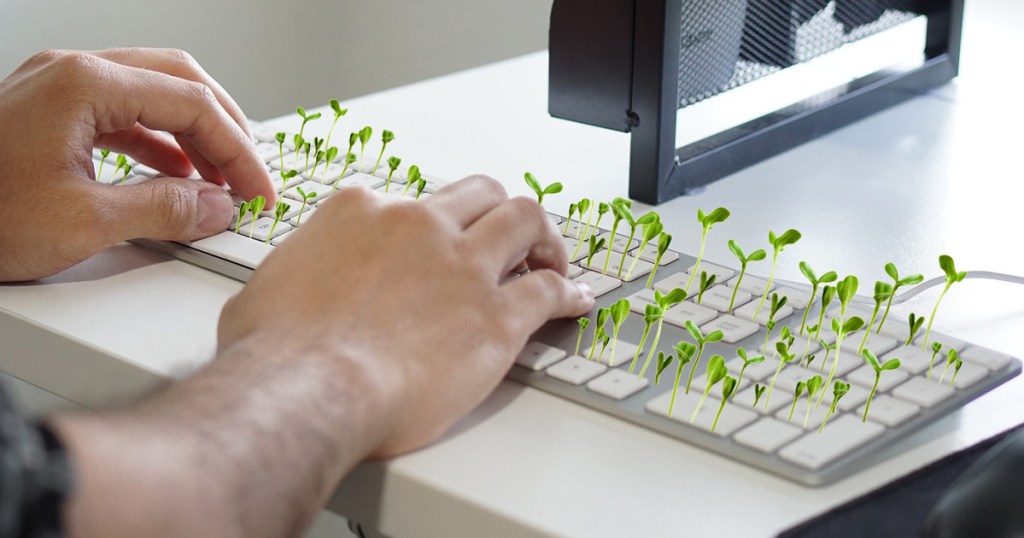 man typing on keyboard garden