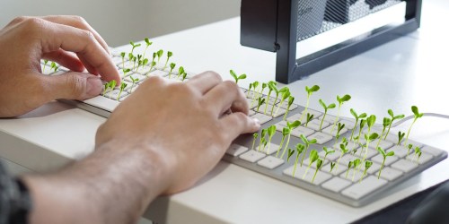 Short On Space? Here’s How to Grow Your Own Keyboard Garden!