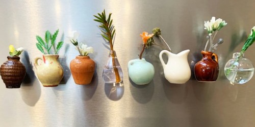 Hand-Painted Mini Vase Refrigerator Magnets Just $19.99 Shipped (Regularly $45)