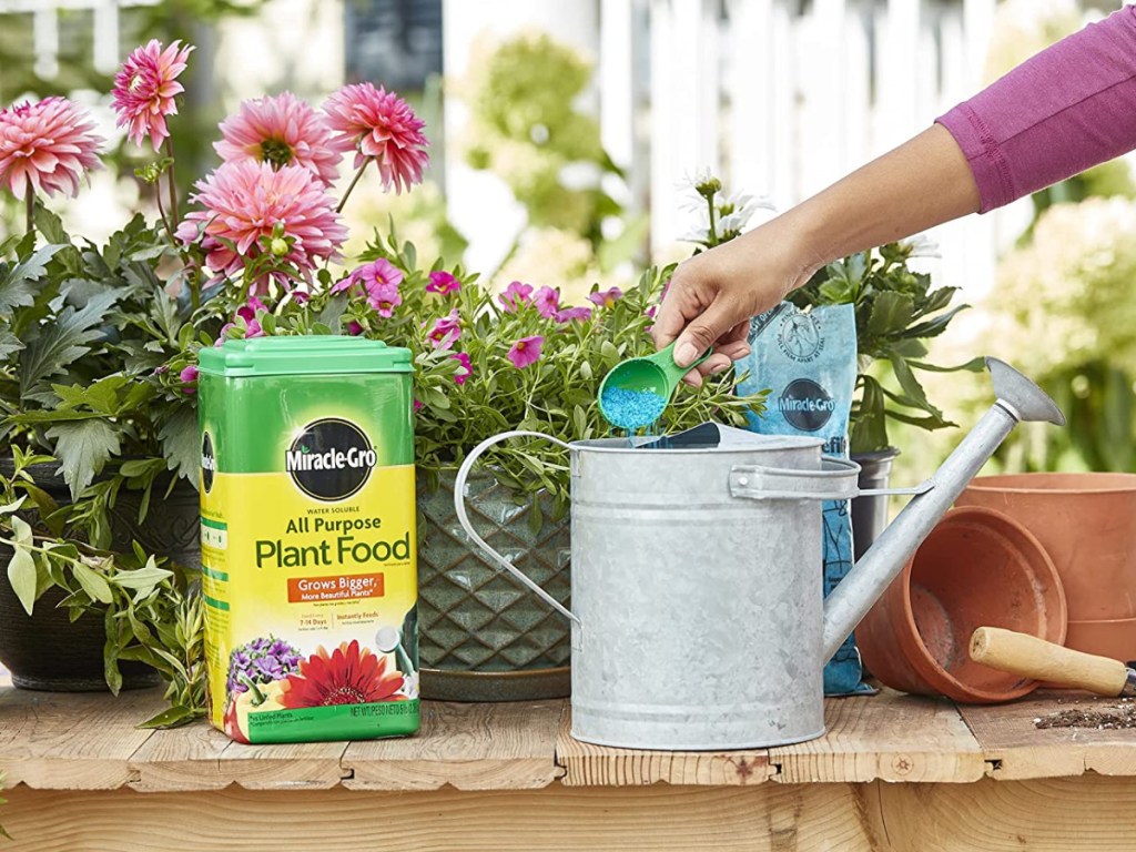 box of plant food near flowers and watering can