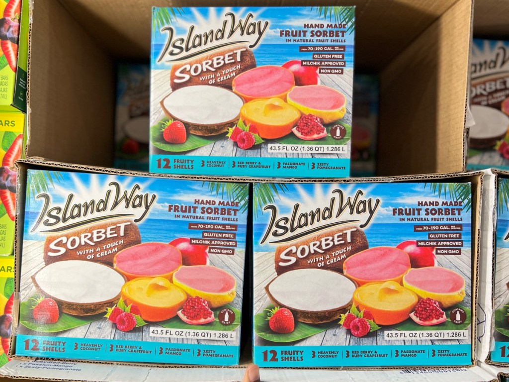 Island Way Sorbet 12Count Box Just 10.99 at Costco Hand Made Sorbet