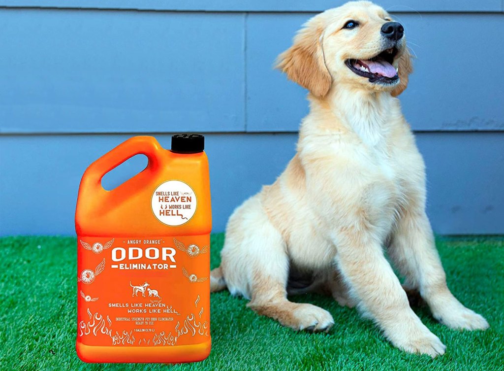 Angry Orange Pet Odor Eliminator 128oz Bottle