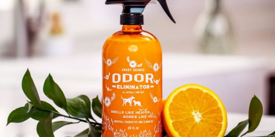 Highly-Rated Angry Orange Pet Odor Eliminator Just $14.99 Shipped on Amazon