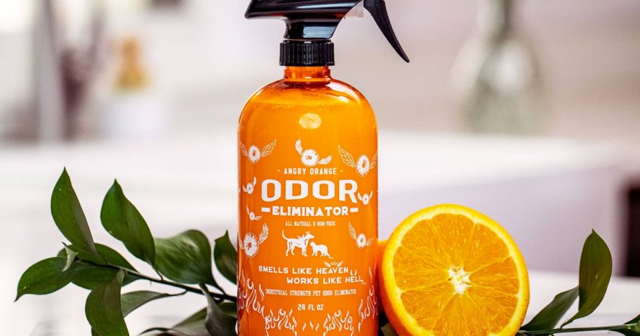 bottle of angry orange spray on kitchen counter with leaves and orange