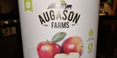 Augason Farms Dehydrated Apple Slices 12oz Can Only $14.58 on Amazon | Up to 25-Year Shelf Life