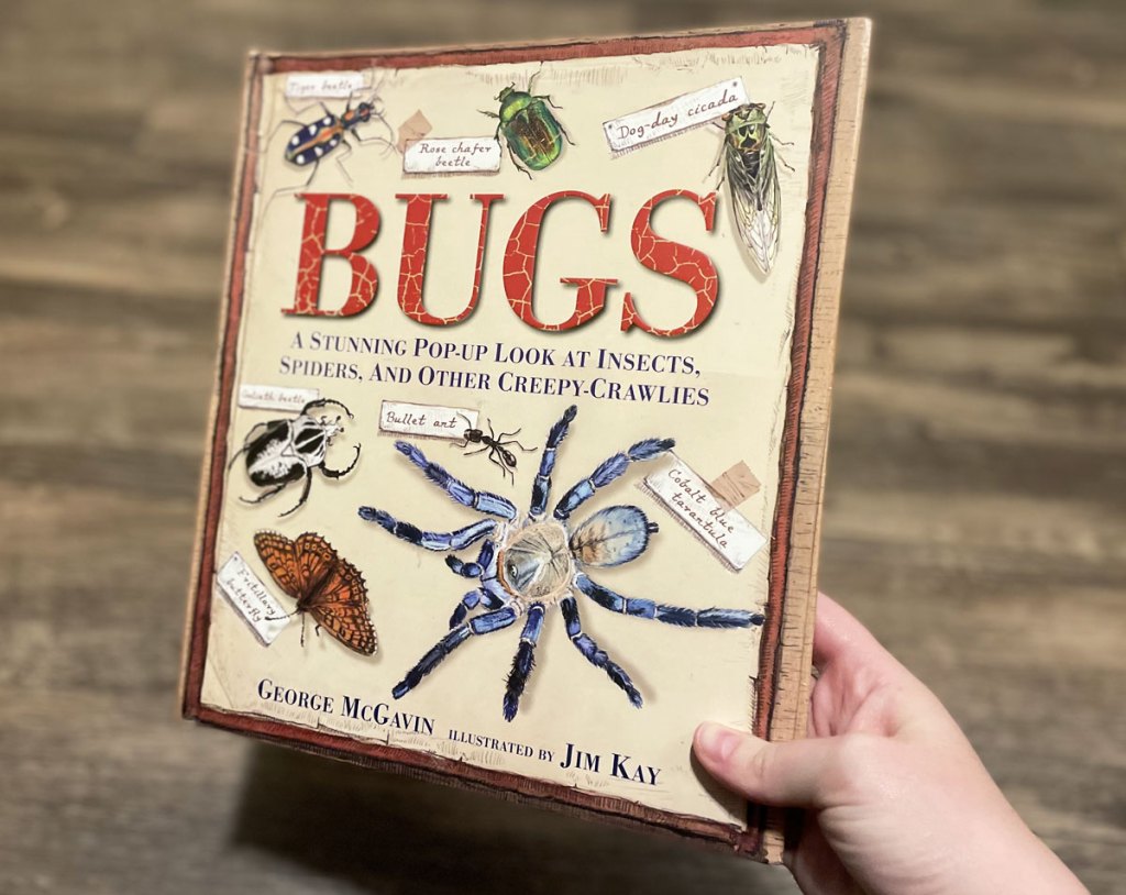 person holding bugs pop-up book