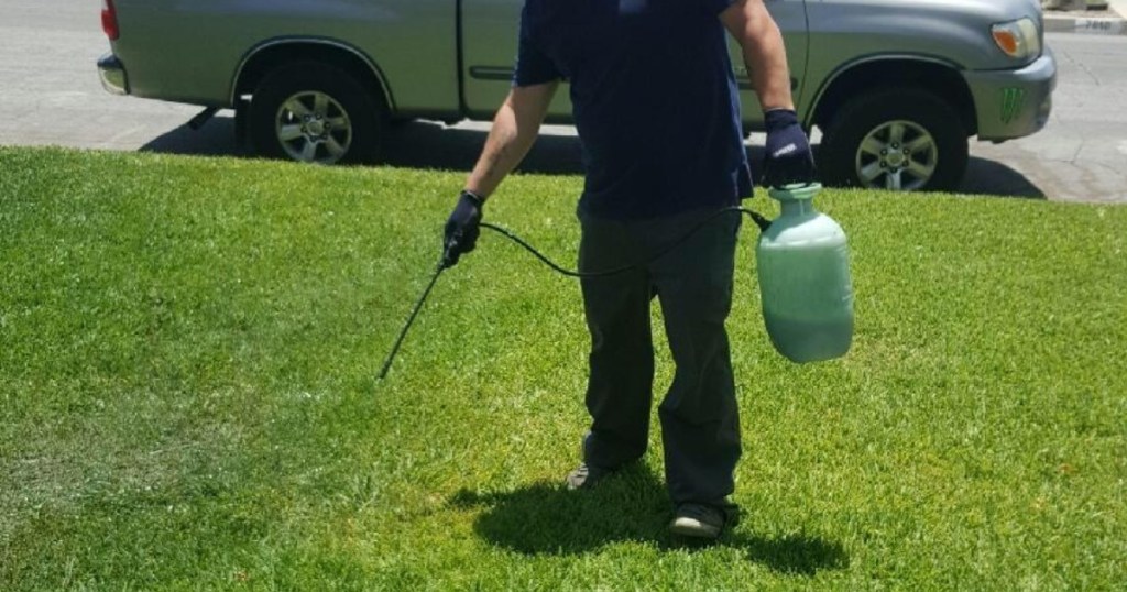 man using garden sprayer on grass