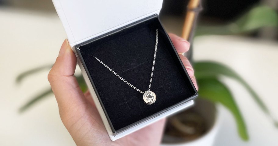 holding cate & chloe necklace in jewelry box