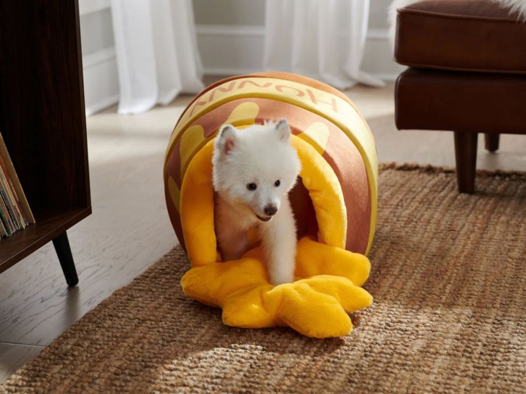 Disney Winnie the Pooh Honey Pot Covered Cat & Dog Bed