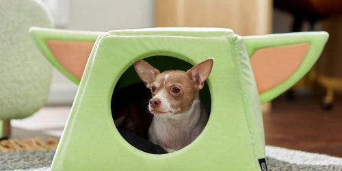 Up to 40% Off Disney, Pixar & Star Wars Pet Beds on Chewy.com | Grogu Covered Bed Only $13.99