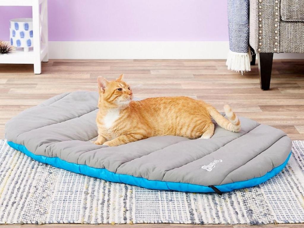 Chuckit! Travel Pillow Dog & Cat Bed