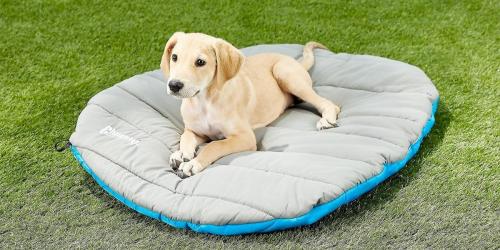 Extra 30% Off Select Pet Beds & Furniture on Chewy.com
