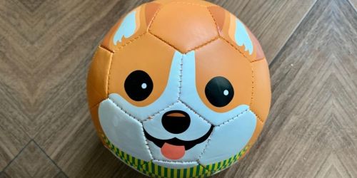 Mini Animal Soccer Balls w/ Pump Only $11.99 Shipped