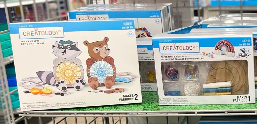 Creatology Bear & Raccoon Hoop Craft Box