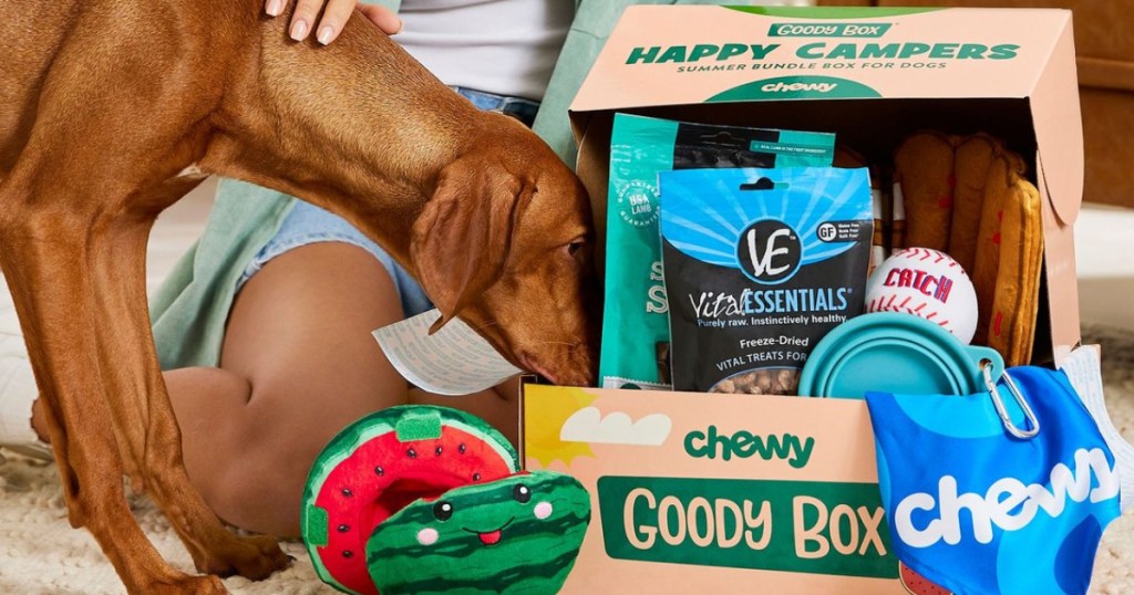 Dog checking out Chewy Goody Box