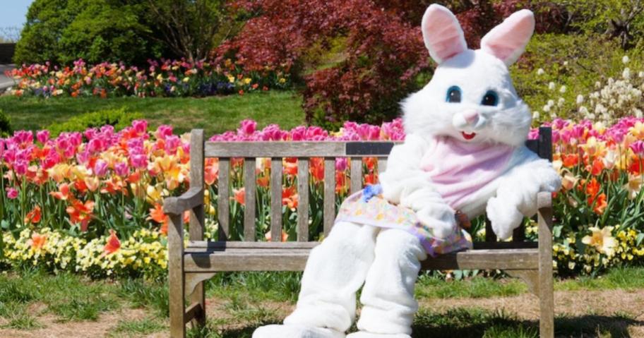 Easter Bunny sitting on a bench with a bunch of flowers growing in the background