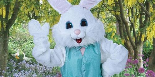 Cabela’s & Bass Pro Shops FREE Easter Bunny Photo | Make Reservations Now!